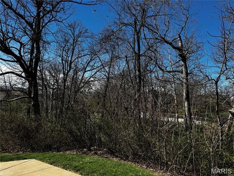 Tiny photo for 16349 Justus Post Road, Chesterfield, MO 63017 (MLS # 26013983)