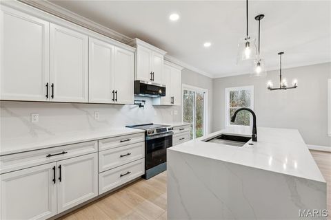 Tiny photo for 431 Shady Trail Drive, Troy, MO 63379 (MLS # 25029133)