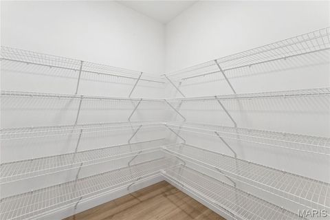 Tiny photo for 431 Shady Trail Drive, Troy, MO 63379 (MLS # 25029133)