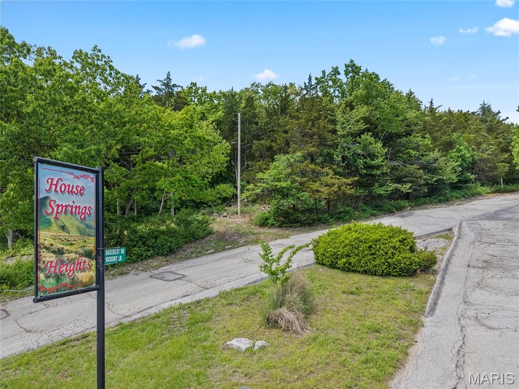 Photo of 4204 Oakcrest Drive, House Springs, MO 63051 (MLS # 26025476)