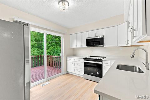 Tiny photo for 13322 Hiddendale Lane, Ballwin, MO 63021 (MLS # 26046366)