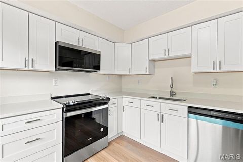 Tiny photo for 13322 Hiddendale Lane, Ballwin, MO 63021 (MLS # 26046366)