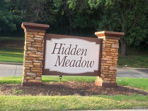 Photo of 13322 Hiddendale Lane, Ballwin, MO 63021 (MLS # 26046366)