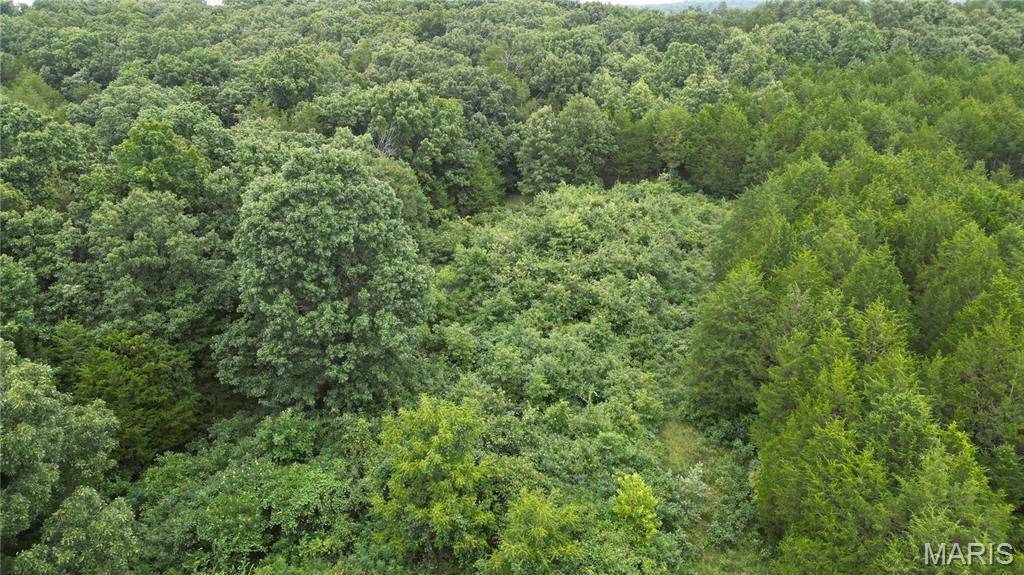 The Cedars at Bent Creek - Land