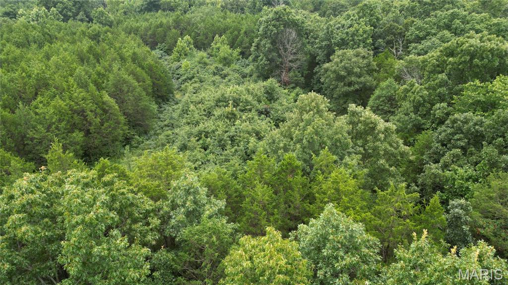 The Cedars at Bent Creek - Land