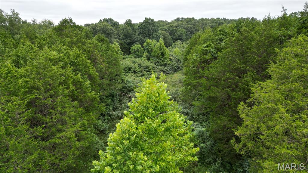 The Cedars at Bent Creek - Land