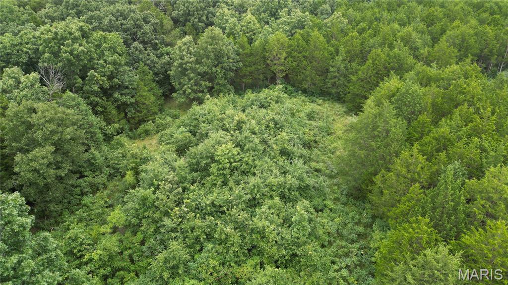 The Cedars at Bent Creek - Land