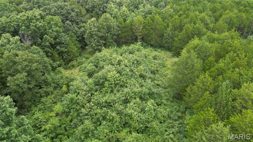 Welcome to The Cedars at Bent Creek—one of Jefferson County’s most prestigious subdivisions. This development features exceptional custom homes in a serene rural setting, while remaining just minutes from shopping, dining, and everyday conveniences. Situated on a level 4.02-acre parcel at the end of the subdivision, this property offers a private, peaceful setting. A portion of the lot has been previously cleared for a home site, while the remainder remains mature timber, providing a beautiful backdrop for your custom build. With its combination of natural beauty, seclusion, and convenience—just minutes from Highway 21—this lot presents a rare opportunity to create your dream home in a highly desirable community. Drive by and see firsthand the privacy and natural beauty this lot offers, and imagine the possibilities for your future.