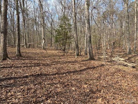 Tiny photo for 0000 W State Highway 8, Potosi, MO 63664 (MLS # 26020653)