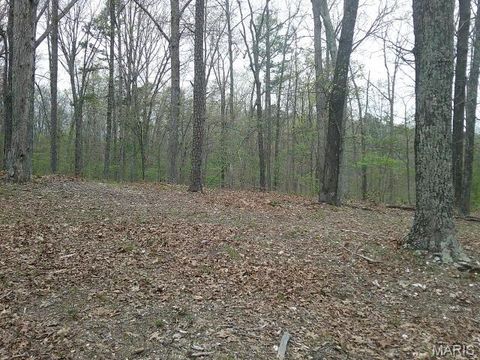 Tiny photo for 0000 W State Highway 8, Potosi, MO 63664 (MLS # 26020653)