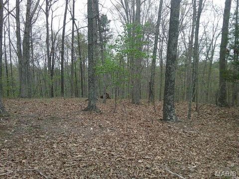 Tiny photo for 0000 W State Highway 8, Potosi, MO 63664 (MLS # 26020653)