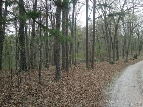Tiny photo for 0000 W State Highway 8, Potosi, MO 63664 (MLS # 26020653)