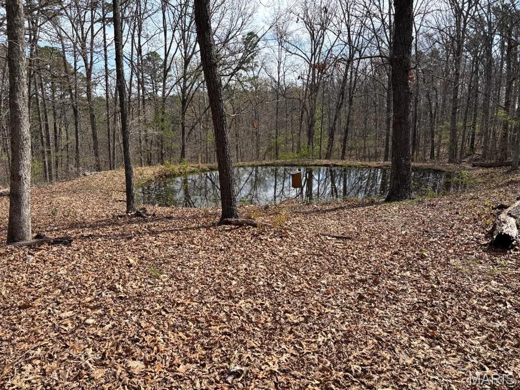 Photo of 0000 W State Highway 8, Potosi, MO 63664 (MLS # 26020653)