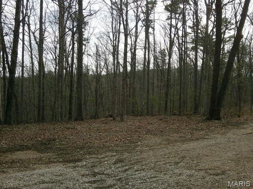 Photo of 0000 W State Highway 8, Potosi, MO 63664 (MLS # 26020653)