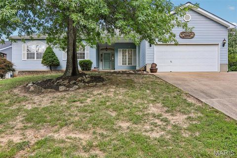 Photo of 10309 Turkey Trail Drive, Hillsboro, MO 63050 (MLS # 26036339)