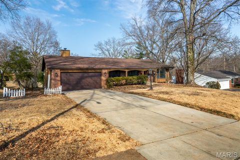 Photo of 513 Scottsdale Road, Kirkwood, MO 63122 (MLS # 26007205)