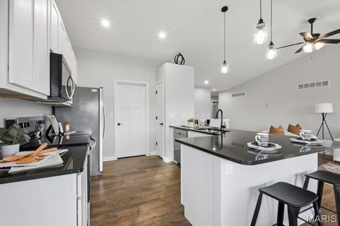 Tiny photo for 314 Katie Lynn Drive, Wentzville, MO 63385 (MLS # 25081814)