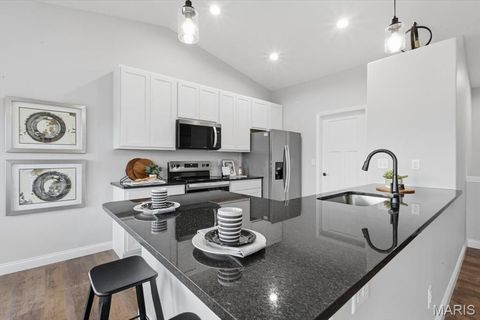 Tiny photo for 314 Katie Lynn Drive, Wentzville, MO 63385 (MLS # 25081814)