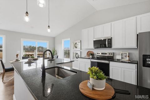 Tiny photo for 314 Katie Lynn Drive, Wentzville, MO 63385 (MLS # 25081814)