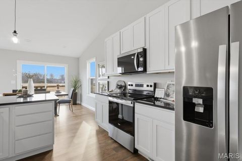 Tiny photo for 314 Katie Lynn Drive, Wentzville, MO 63385 (MLS # 25081814)