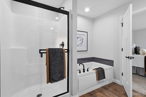 Tiny photo for 314 Katie Lynn Drive, Wentzville, MO 63385 (MLS # 25081814)