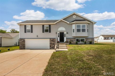 101 Boise Circle Festus MO 63028