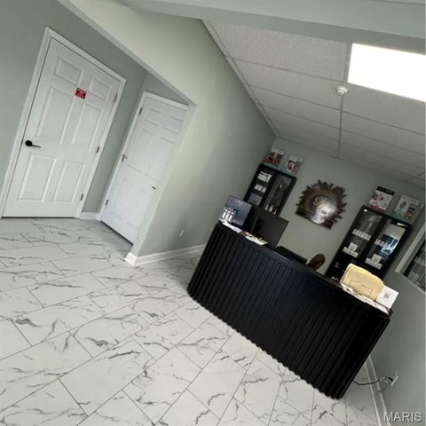 Tiny photo for 101 W Main & 115 N Walnut St, Steele, MO 63877 (MLS # 25072433)