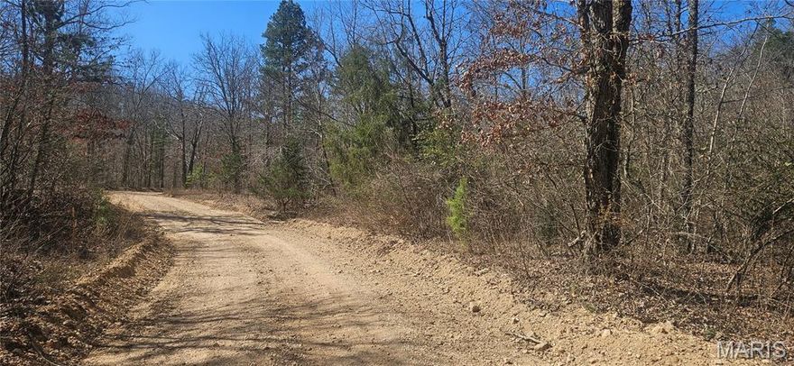 35.73 acres m/l of wooded land in Reynolds County. Easy access off of county road. Close to Ellington. No Restrictions! Hunt, camp, hike, ride your ATVs, build a weekend cabin or full time home. Not far to the Black River, Current River, or Jack's Fork.  Make it your own!