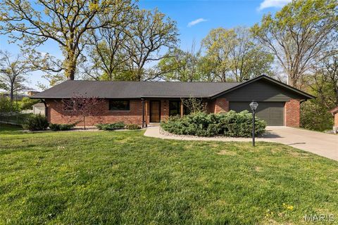 Photo of 11116 Pam Lane, Unincorporated, MO 63146 (MLS # 26022925)