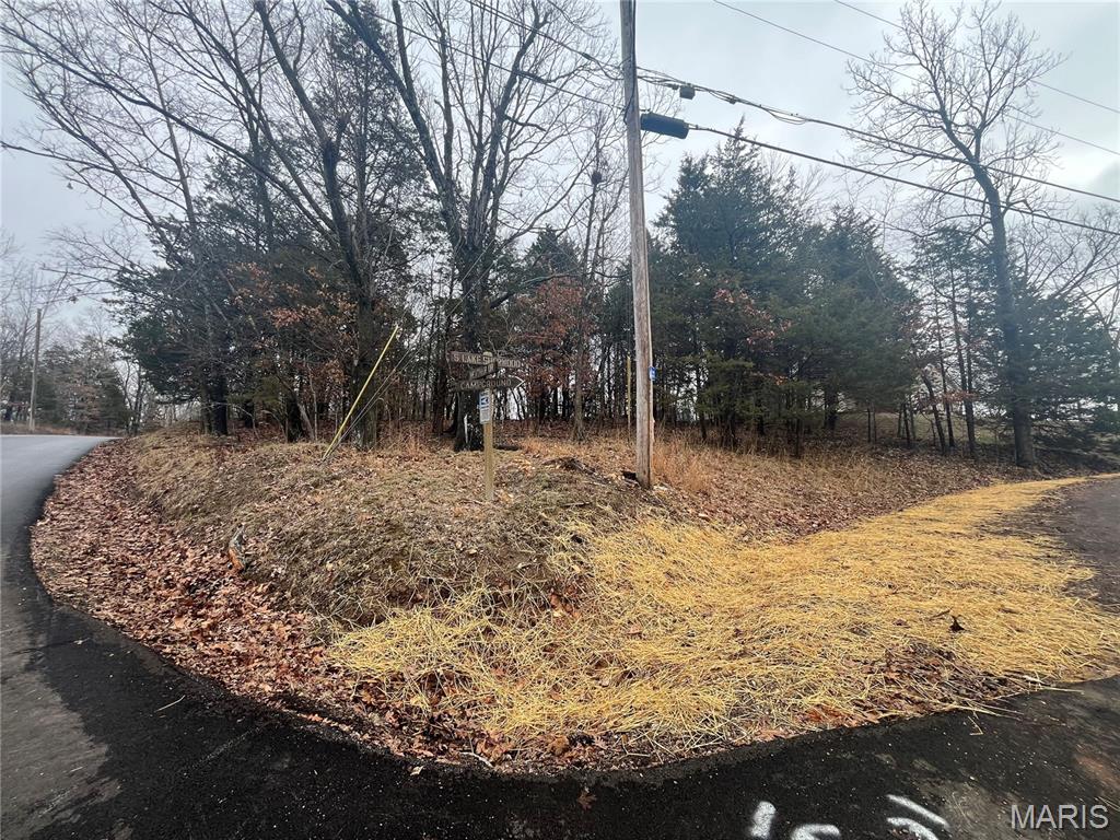 Lake Sherwood Estates - Land