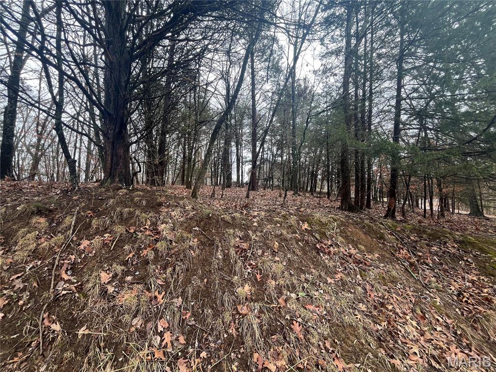 Lake Sherwood Estates - Land