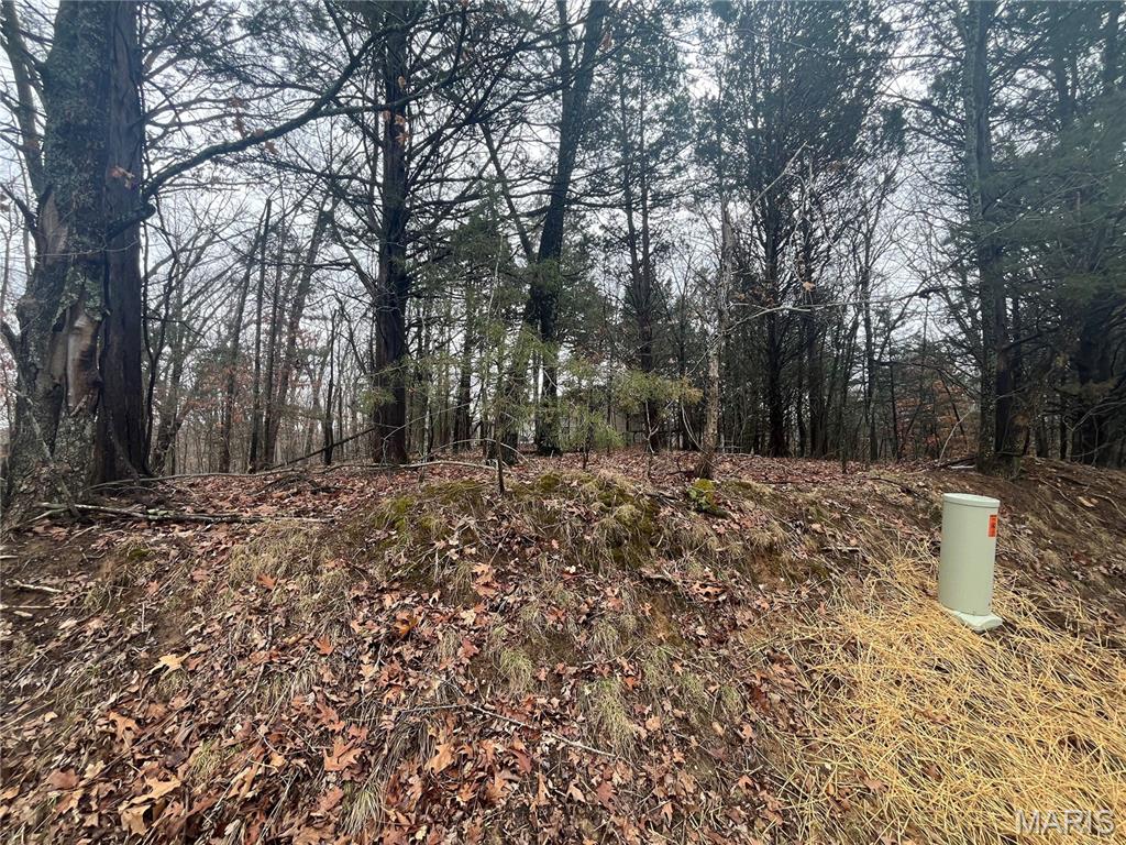 Lake Sherwood Estates - Land