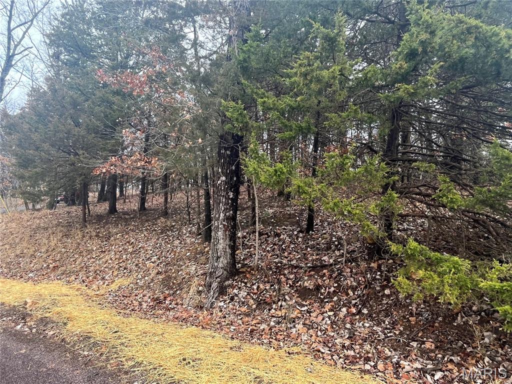 Lake Sherwood Estates - Land