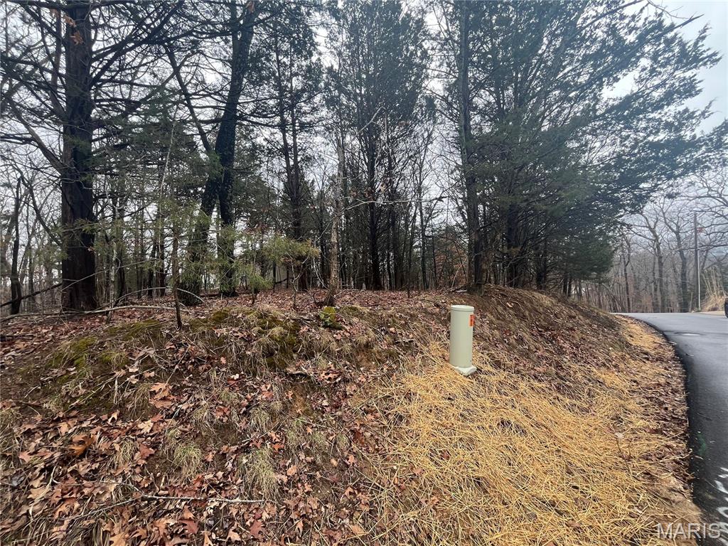 Lake Sherwood Estates - Land