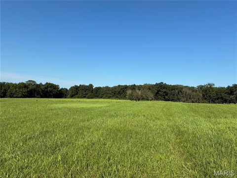 Tiny photo for 14144 Highway E, Curryville, MO 63339 (MLS # 25051247)