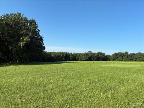 Tiny photo for 14144 Highway E, Curryville, MO 63339 (MLS # 25051247)