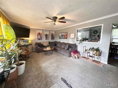 Tiny photo for 318 S Breckenridge Avenue, Palmyra, MO 63461 (MLS # 26019052)