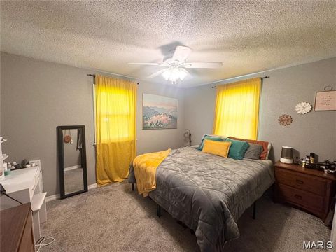 Tiny photo for 318 S Breckenridge Avenue, Palmyra, MO 63461 (MLS # 26019052)