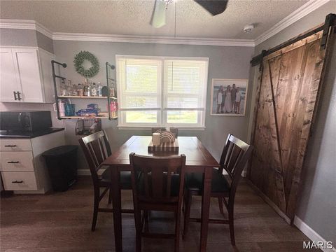 Tiny photo for 318 S Breckenridge Avenue, Palmyra, MO 63461 (MLS # 26019052)