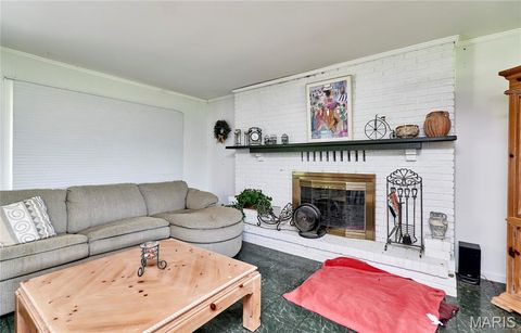 Tiny photo for 196 Absolut Lane, Troy, MO 63379 (MLS # 26024762)
