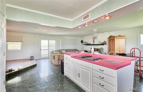 Tiny photo for 196 Absolut Lane, Troy, MO 63379 (MLS # 26024762)
