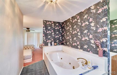 Tiny photo for 196 Absolut Lane, Troy, MO 63379 (MLS # 26024762)