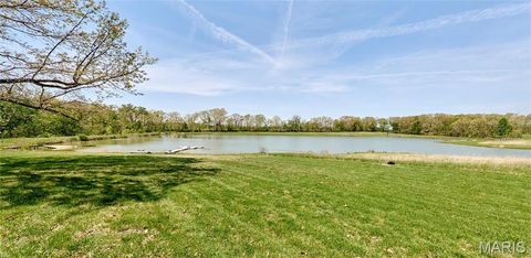 Tiny photo for 196 Absolut Lane, Troy, MO 63379 (MLS # 26024762)