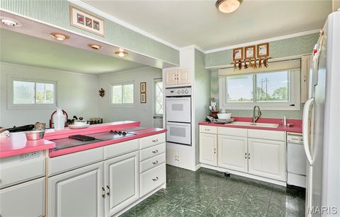 Tiny photo for 196 Absolut Lane, Troy, MO 63379 (MLS # 26024762)