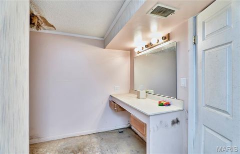 Tiny photo for 196 Absolut Lane, Troy, MO 63379 (MLS # 26024762)