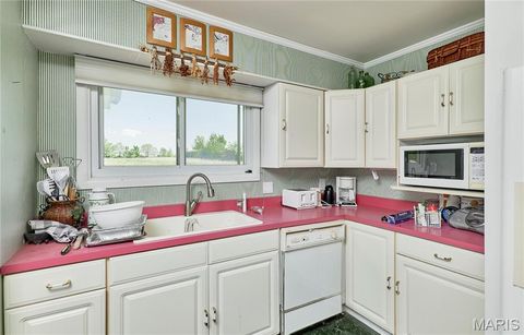Tiny photo for 196 Absolut Lane, Troy, MO 63379 (MLS # 26024762)