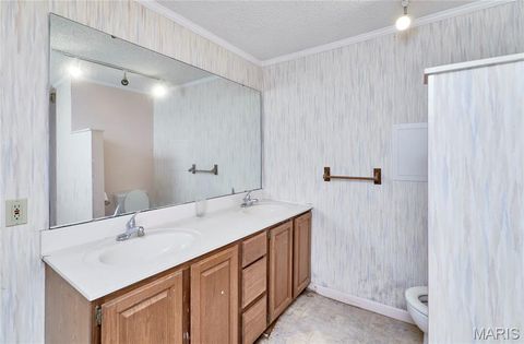 Tiny photo for 196 Absolut Lane, Troy, MO 63379 (MLS # 26024762)