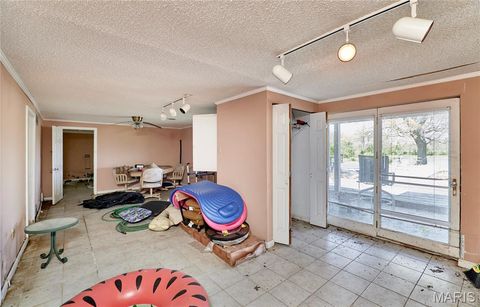 Tiny photo for 196 Absolut Lane, Troy, MO 63379 (MLS # 26024762)