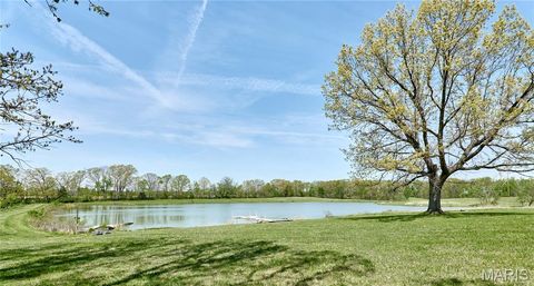 Tiny photo for 196 Absolut Lane, Troy, MO 63379 (MLS # 26024762)