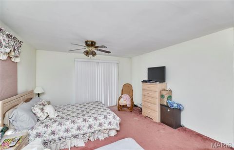 Tiny photo for 196 Absolut Lane, Troy, MO 63379 (MLS # 26024762)